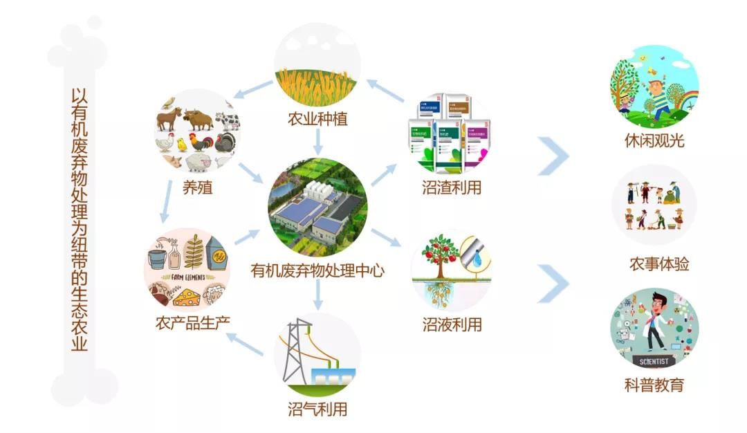 解開“沼循”奧秘 以有機廢棄物處理為紐帶的生態農業構建與環保設備設計